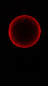 Hold mintázatú faldekoráció óvodai foglalkoztatóba – játékos, mégis letisztult stílusban